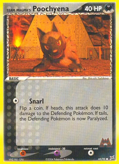 Team Magma’s Poochyena