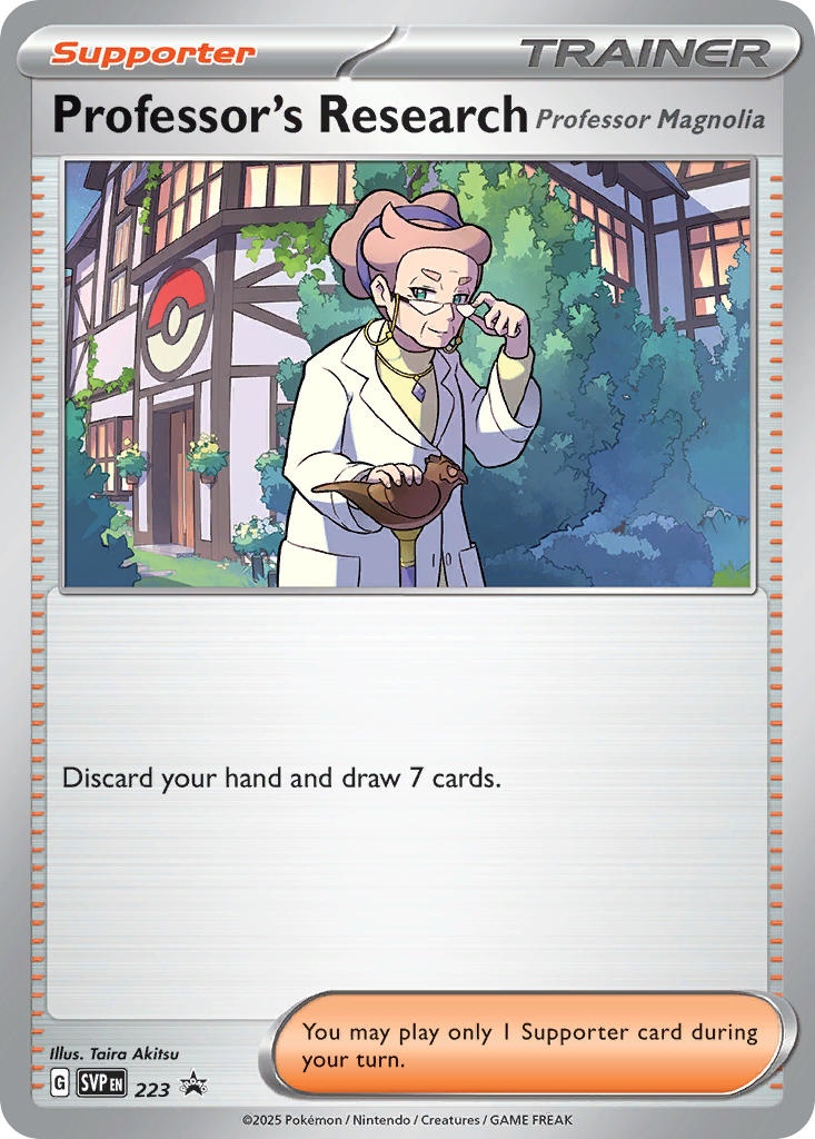Professor’s Research